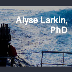 Thumbnail representation of alyse.larkin.science